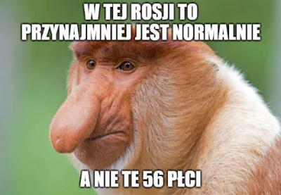 Marek_Wolin - #chwalesie #czytajzwykopem #ksiazki

Cześć, Wykop! 

Lecimy z trzecim o...