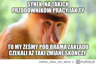 Jakiestakienie_wiem - Sporo świeżego kontentu wpada ostatnio na tag. Podoba się dla m...