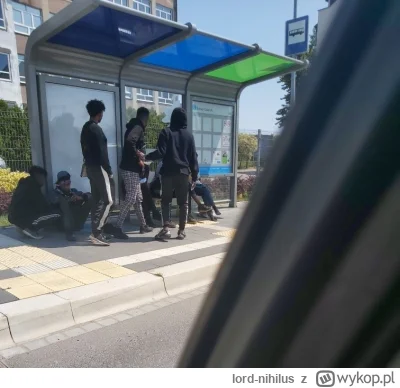 lord-nihilus - p0lka już nawet nie musi ruszać d--y z domu i lecieć za granice, dosta...