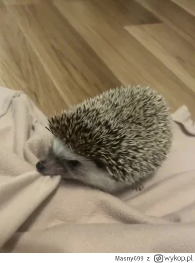 Masny699 - @b0dyload: