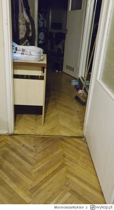 MarmoladaNykilor - #kot #pchelkafanclub

Moj kot nauczył sie aportować pod moja nieob...