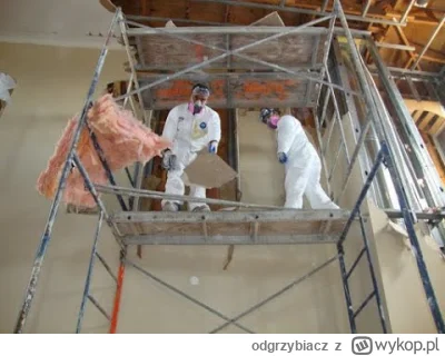 odgrzybiacz - Filmik przedstawia chemiczne odgrzybianie drewna konstrukcyjnego na pod...