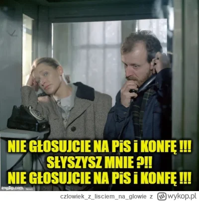 czlowiekzlisciemnaglowie - #wybory