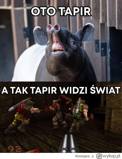 Kempes - #heheszki #zwierzaczki