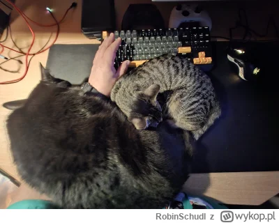 RobinSchudl - >Bardzo szlachetnie, dziękuję dobrzy ludzie.(づ•﹏•)づ

@Kantorwymianymysl...