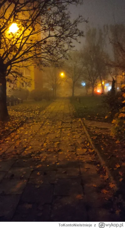 ToKontoNieIstnieje - Wyjście do pracy jak sesja w silent hill