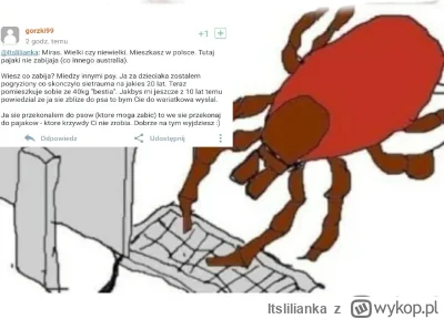 Itslilianka - tak ludzie z arachnofobia widzą  każdego obrońcę pająków  #heheszki