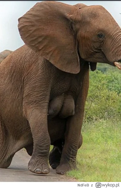 N.....B - @luxkms78: