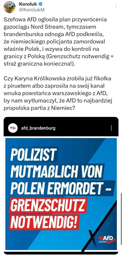 officer_K - Antypolscy przyjaciele k0nfederosjan knują antypolskie plany. b0sak zasko...