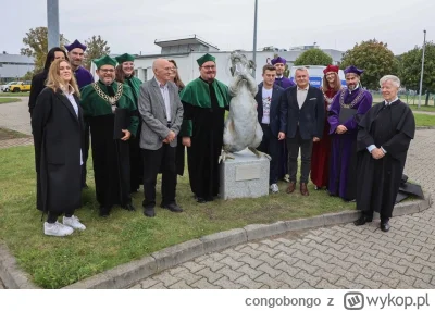 congobongo - Pomnikuf kurła się zachciewa

#konkursnanajbardziejgownianymemznosaczem