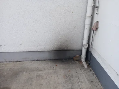 Damasweger - @Pietter  @muaddib443 Załączam okopconą ścianę xd