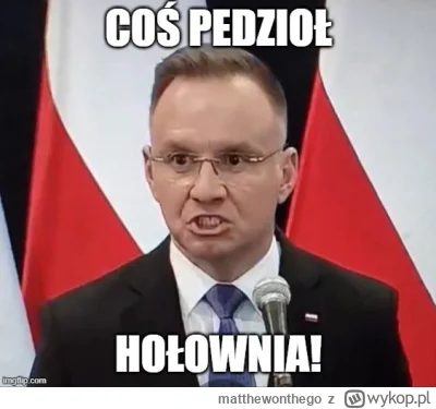 matthewonthego - #sejm