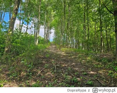 DopraRypa - 567 607 + 117 = 567 724

Kolejne urlopowe kwadraty.  117 km i ponad 1000m...