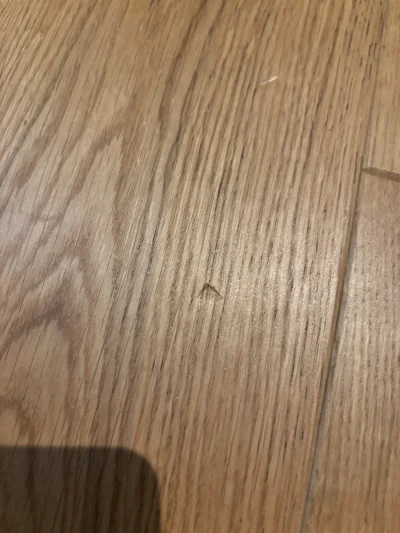 PodniebnyMurzyn - @PodniebnyMurzyn