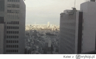 Kalwi - @TeresaKorolInvestments: