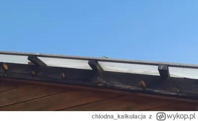 chlodnakalkulacja - @chlodnakalkulacja: