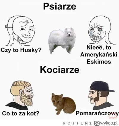 ROTTE_N - #heheszki #humorobrazkowy