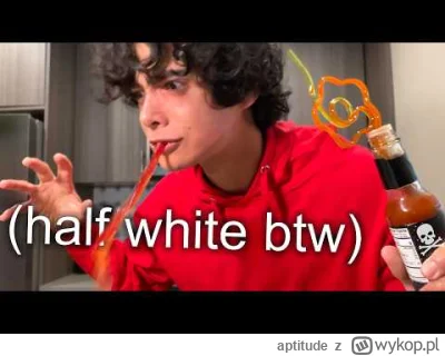 aptitude - @aptitude: to takie porąbane XD poduszka pies XD