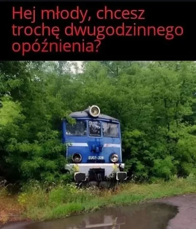 TiniMini_pl - #heheszki #pkp #humorobrazkowy