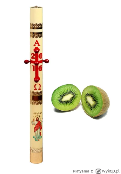 Platysma - #bonzo 
Kutko i natema