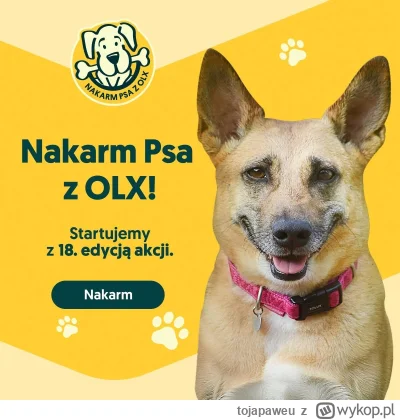 tojapaweu - Jak jeszcze nie słyszeliście, to startuje 18. edycja akcji Nakarm Psa od ...