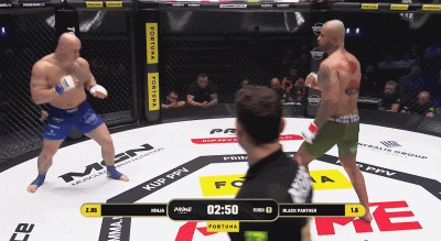 KonTrojanski6-10-21 - P A J A C

#famemma