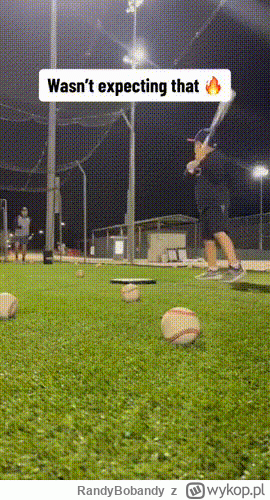 RandyBobandy - #gif #baseball