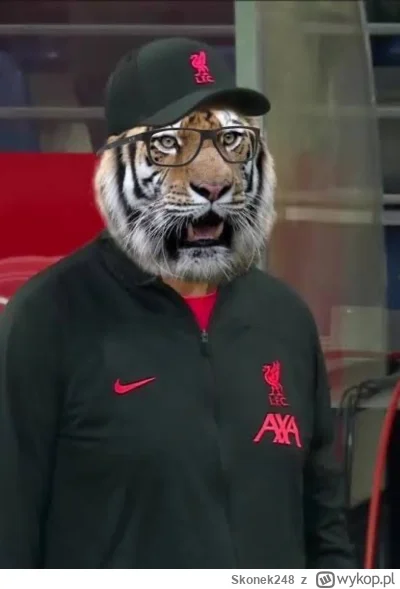Skonek248 - #mecz bawi za każdym razem