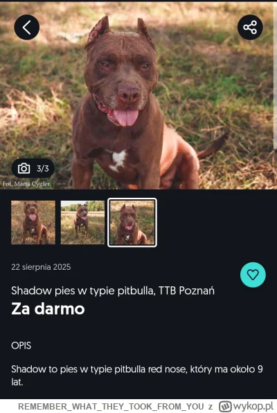 REMEMBERWHATTHEYTOOKFROM_YOU - Zobaczcie jaka kochana niewinna mordka (♥ ʖ̯♥)