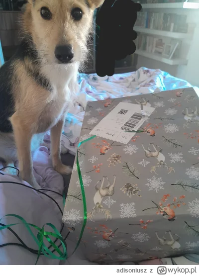 adisoniusz - @adisoniusz no wez otworz