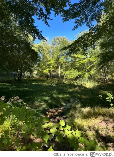 R2D2zSosnowca - @R2D2zSosnowca październikowe