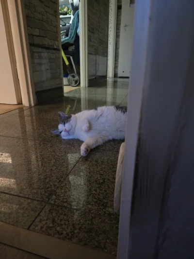 Solsith - @LimboNoir: nauczony życiem mam w suficie chaczyk do przywiązania choinki¯\...