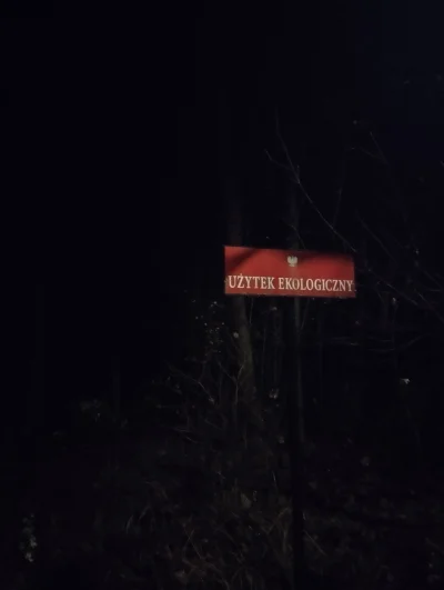 Elev - @Elev: kusi żeby tu sie położyć