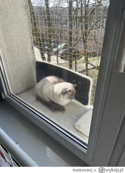 maikeleleq - @DomBrataAlberta wstała 
Tak, sama robi sobie daszek przeciwsłoneczny