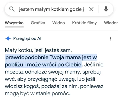 GrimesZbrodniarz - Pomocne to AI, nie wiem co bym bez niego zrobił xD

#koty #sztuczn...