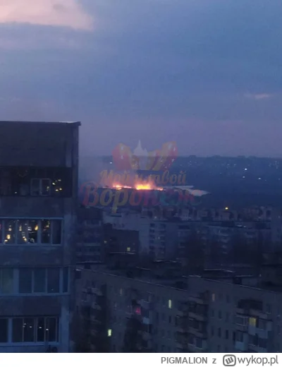 PIGMALION - @PIGMALION