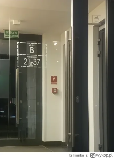 Itslilianka - klatka papieska #2137