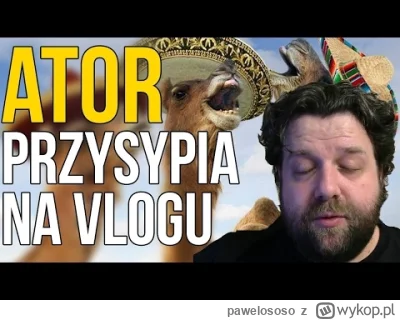 pawelososo - Najlepiej opakowany źródłami materiał Atora be like: #ator #polskiyoutub...