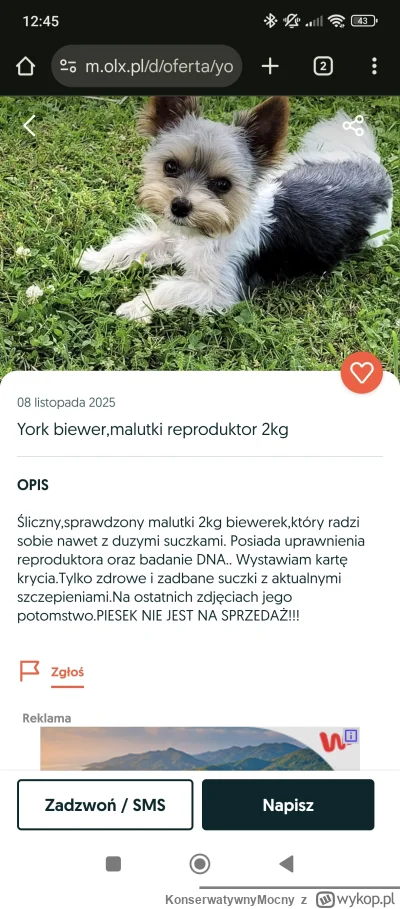 KonserwatywnyMocny - Daje do myślenia #dogpill
#przegryw