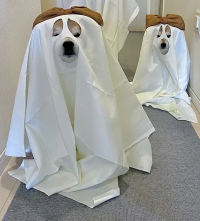 dywergent - lepiej juz na dzisiaj opuscic mikroblog bo pewnie wszyscy beda wstawiac s...