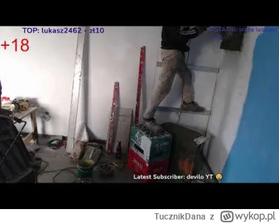 TucznikDana - #bystrzaktv Karaluchy streamują