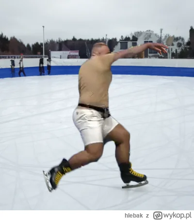 hlebak - Coś ślisko w tym octagonie dlatego wszystkie następne walki niech denis stoc...