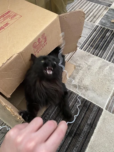 wfyokyga - AAAAAAAAAAAAAAAAAAAAAAA