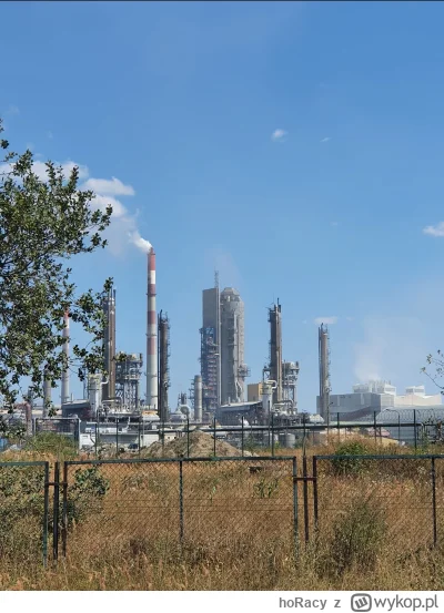 hoRacy - @gonzo91 ooo! Też tu jestem!
SPOILER