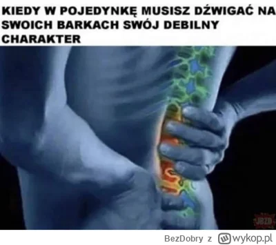 BezDobry - Dobrze, że jest mirkoblog i można tu z siebie zrzucić cześć tego ciężaru (...