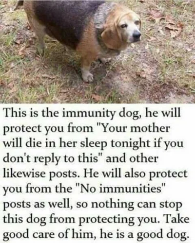 tamagucci - @bialykruczek: