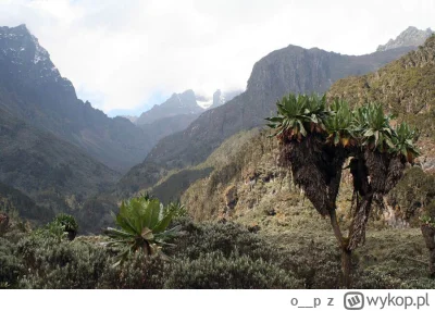o__p - Który to byłb rok przed kowidem napewno. Jezdziłem rowerkiem do lasku tam były...