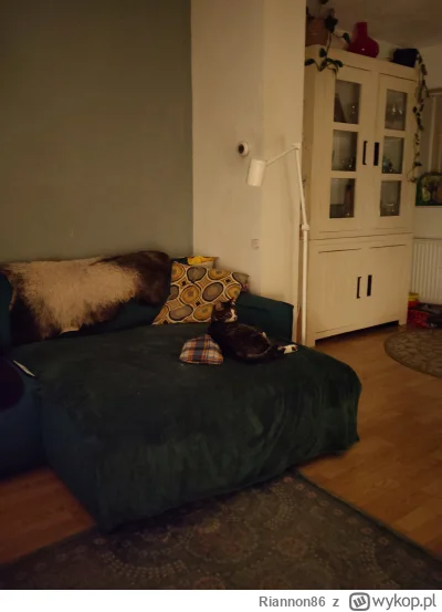 Riannon86 - Kicio dostał termoforek
#koty #koteczkizprzypadku #kotnadzis