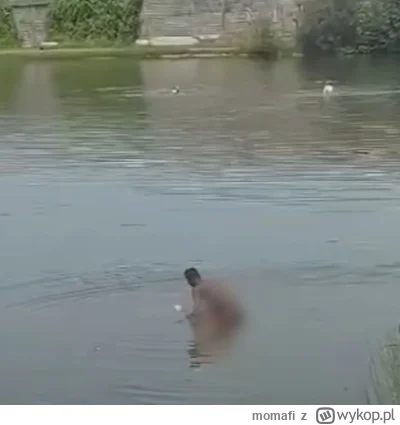 momafi - @Bobbudowniczy69: