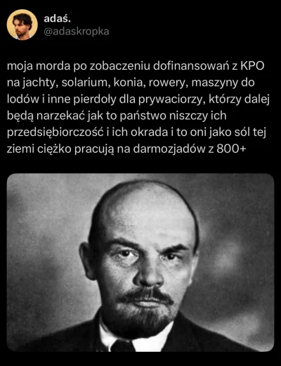 Grzybzfugi - #kpo #januszebiznesu